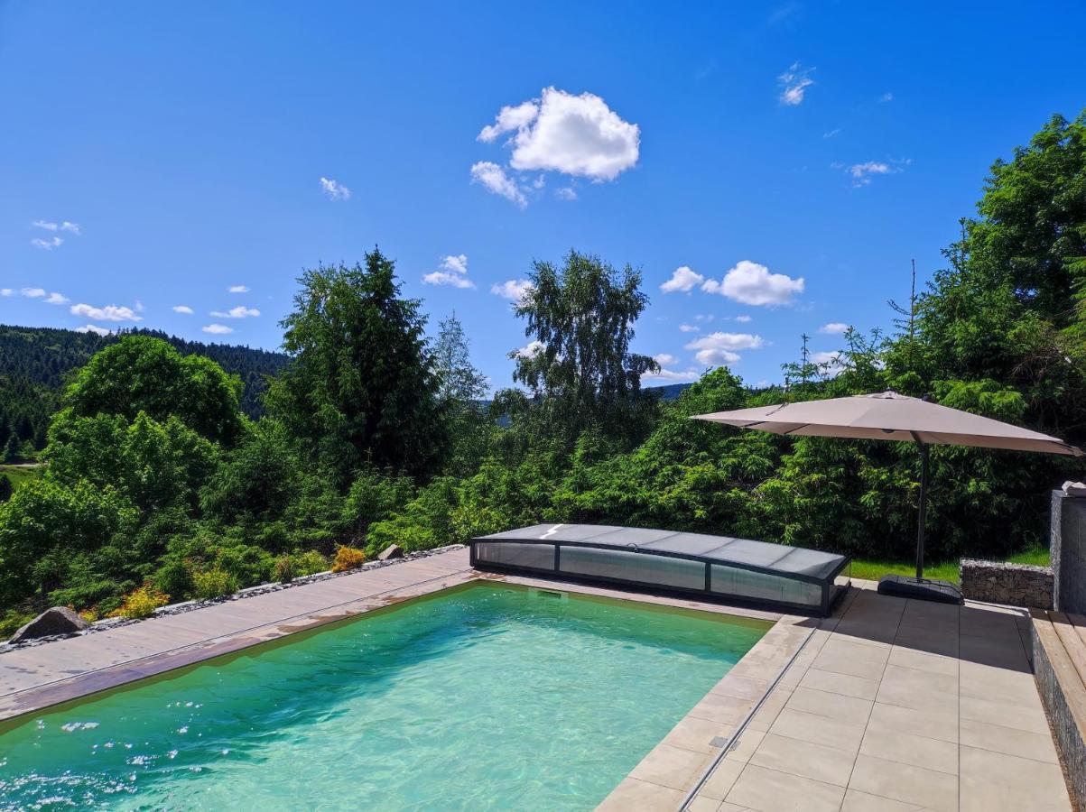 Le Cerf, Chalet Cocooning Avec Piscine Et Billard Ban-sur-Meurthe-Clefcy Екстериор снимка