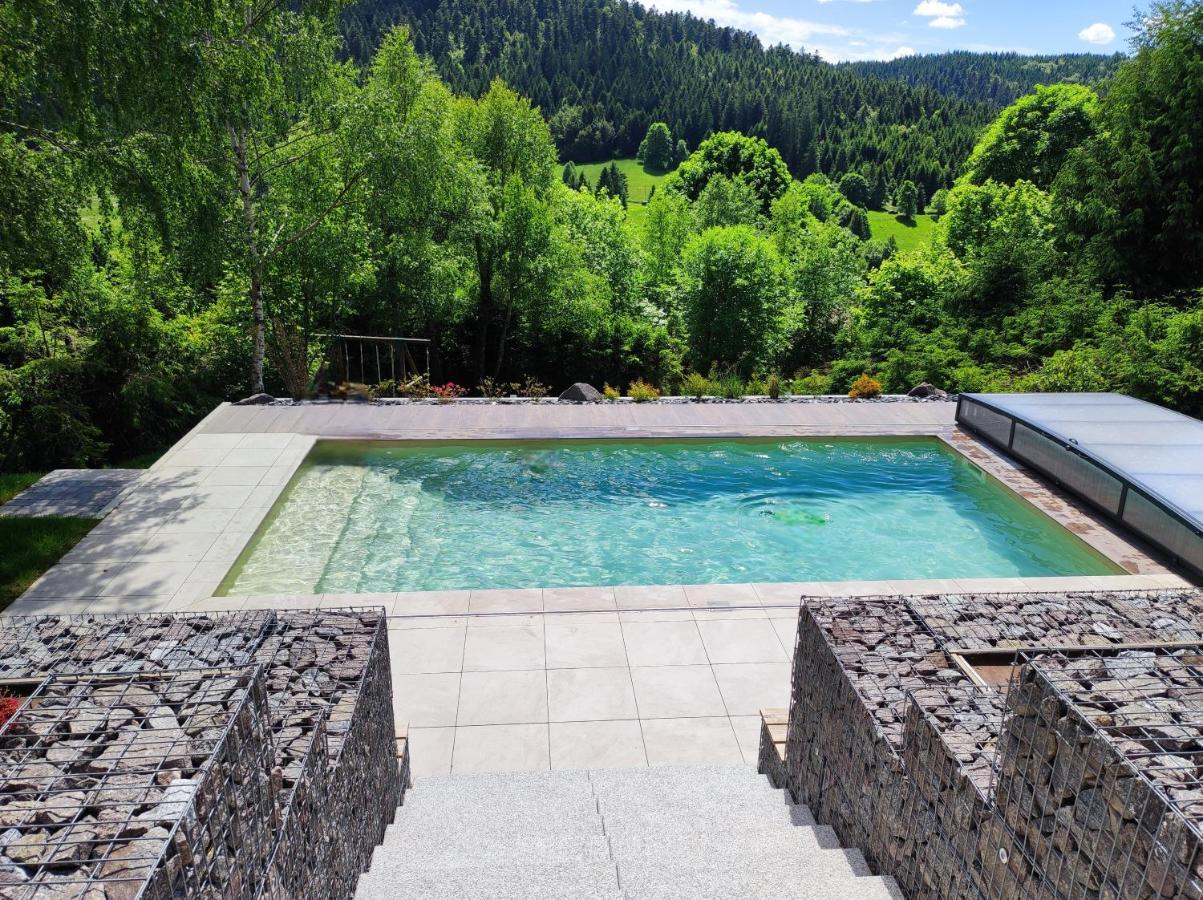 Le Cerf, Chalet Cocooning Avec Piscine Et Billard Ban-sur-Meurthe-Clefcy Екстериор снимка